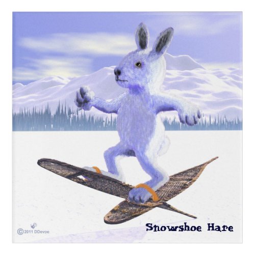 Snowshoe Hare Acrylic Print