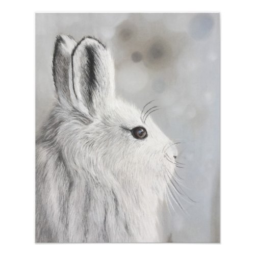 Snowshoe hare drawing photo print