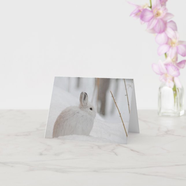 Snowshoe Hare in Snow Card (Orchid)