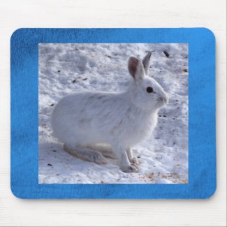 Snowshoe Hare in Snow Mouse Pad