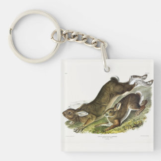 Snowshoe Hare, summer (Northern Hare) by Audubon Keychain