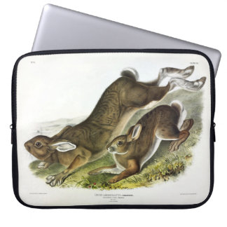 Snowshoe Hare, summer (Northern Hare) by Audubon Laptop Sleeve