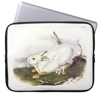 Snowshoe Hare, winter (Northern Hare) by Audubon Laptop Sleeve