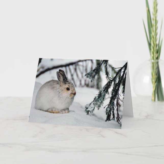 Snowshoe Hare Winter Snow Nature Scene Card (Front)
