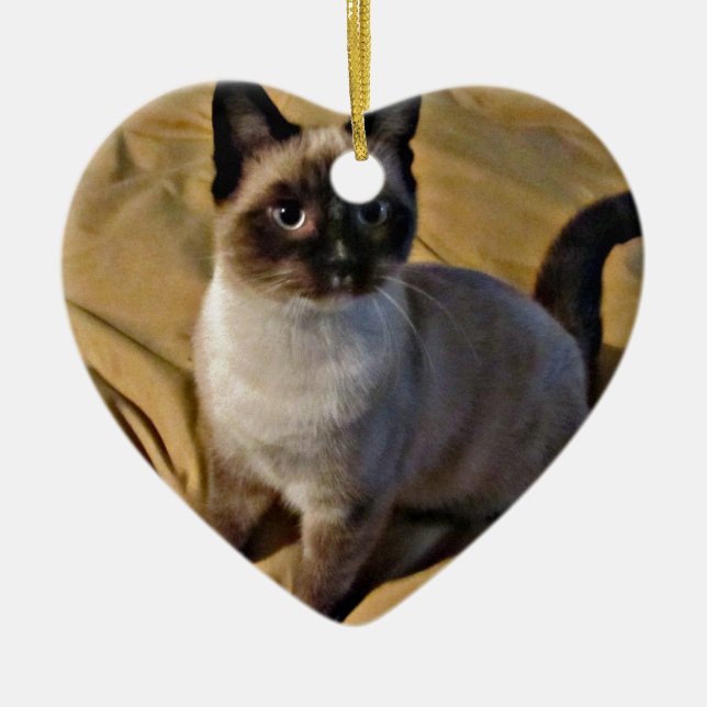 Snowshoe Kitten Gifts Ceramic Ornament (Front)