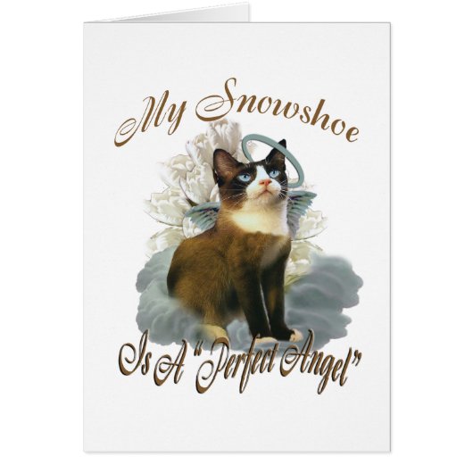 Snowshoe Perfect Angel Cards (Front)