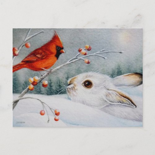 Snowshoe Rabbit  Red Cardinal Bird Watercolor Art Postcard