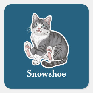 Snowshoe Square Sticker