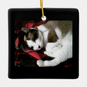 snowshoe tartan kitty ceramic ornament