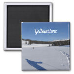 Snowshoeing in Yellowstone National Park Magnet