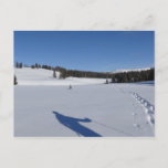 Snowshoeing in Yellowstone National Park Postcard