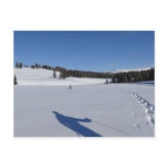 Snowshoeing in Yellowstone National Park Postcard