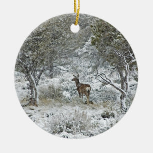 Snowstorm Ceramic Ornament