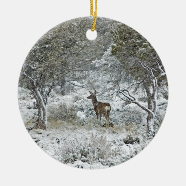 Snowstorm Ceramic Ornament (Front)