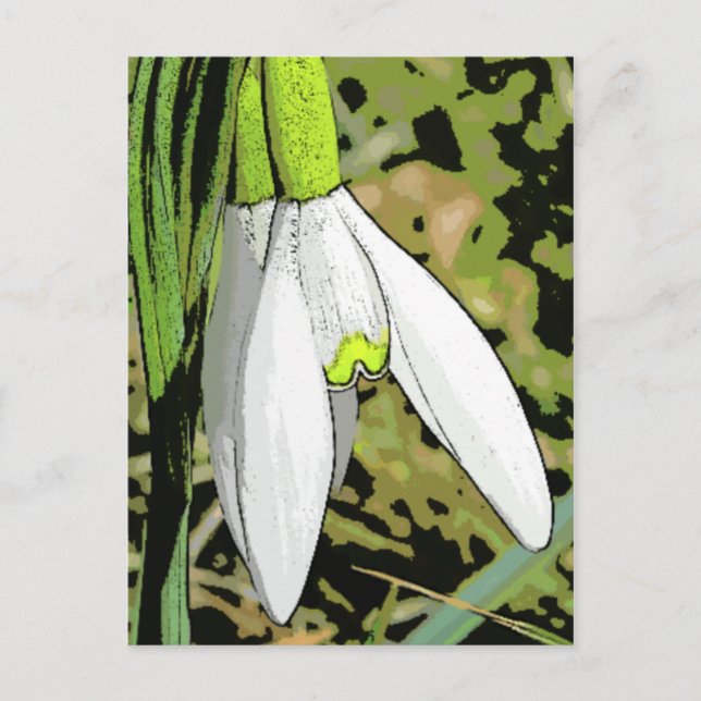 Snowtoons Postcard (Front)