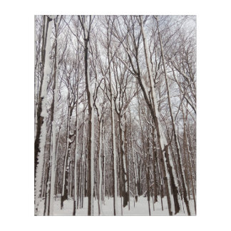 SnowTree Acrylic Wall Art