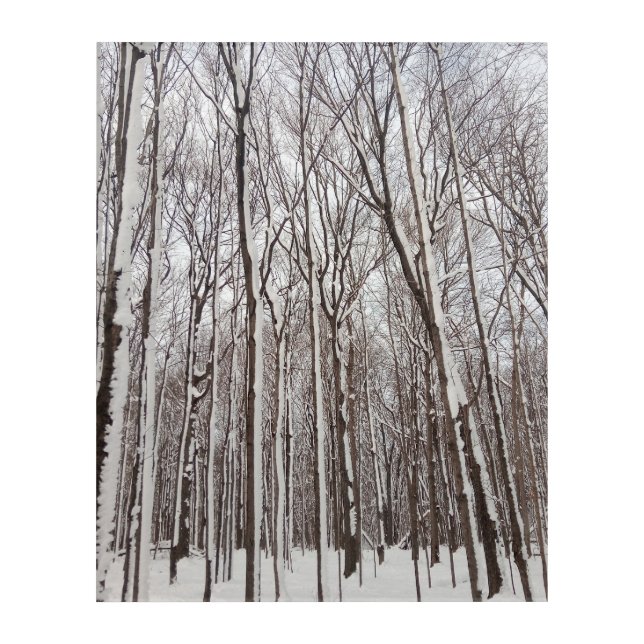 SnowTree Acrylic Wall Art (Front)