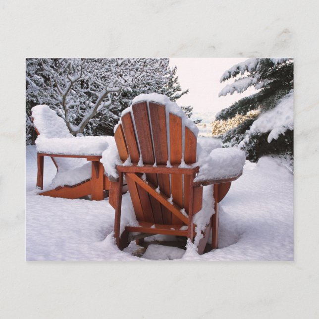 Snowy Adirondack Chairs in Winter Photo Postcard (Front)