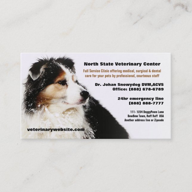 Snowy Australian Shepherd Veterinarian Vet Clinic Business Card (Front)