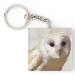 Snowy Barn Owl  Acrylic Keychain