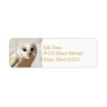 Snowy Barn Owl Address Labels