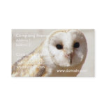 Snowy Barn Owl  Business Cards