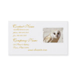 Snowy Barn Owl  Business Cards