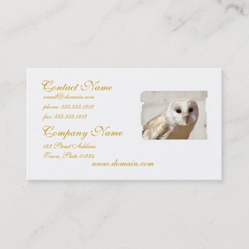Snowy Barn Owl  Business Cards