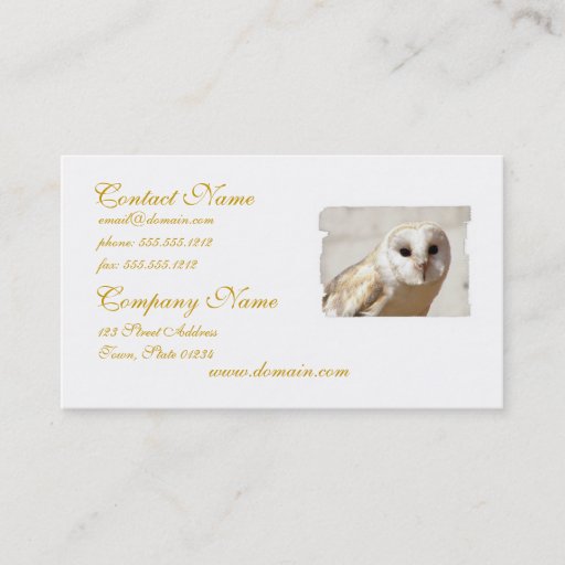 Customizable Snowy Barn Owl  Business Cards