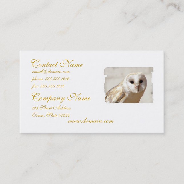 Snowy Barn Owl  Business Cards (Front)