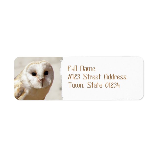 Snowy Barn Owl Mailing Labels (Front)