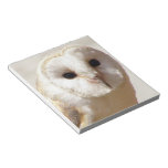 Snowy Barn Owl  Notepad