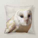 Snowy Barn Owl  Pillow