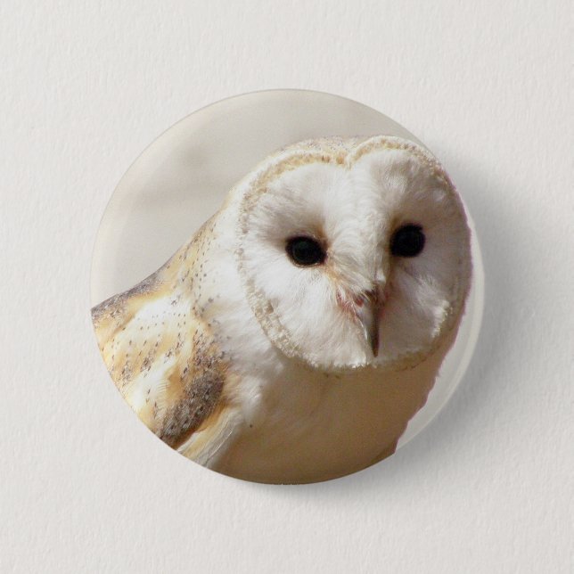 Snowy Barn Owl  Pin (Front)
