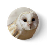Snowy Barn Owl  Pin