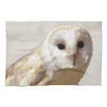 Snowy Barn Owl  Towel