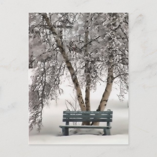 Snowy Bench Postcard (Front)
