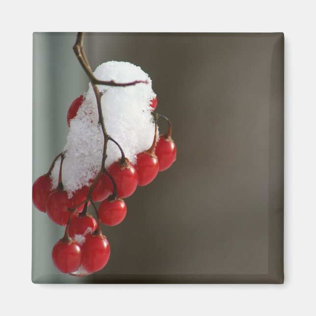 Snowy berries magnet (Front)