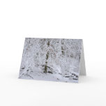 Snowy Birch Tree Canopy Card
