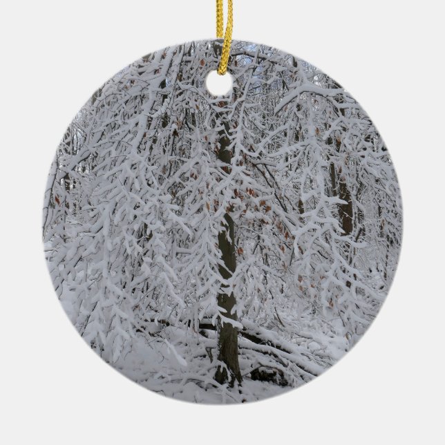 Snowy Birch Tree Canopy Ceramic Ornament (Front)