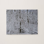 Snowy Birch Tree Canopy Jigsaw Puzzle