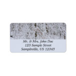 Snowy Birch Tree Canopy Label