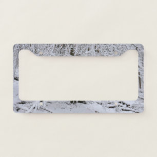 Snowy Birch Tree Canopy License Plate Frame