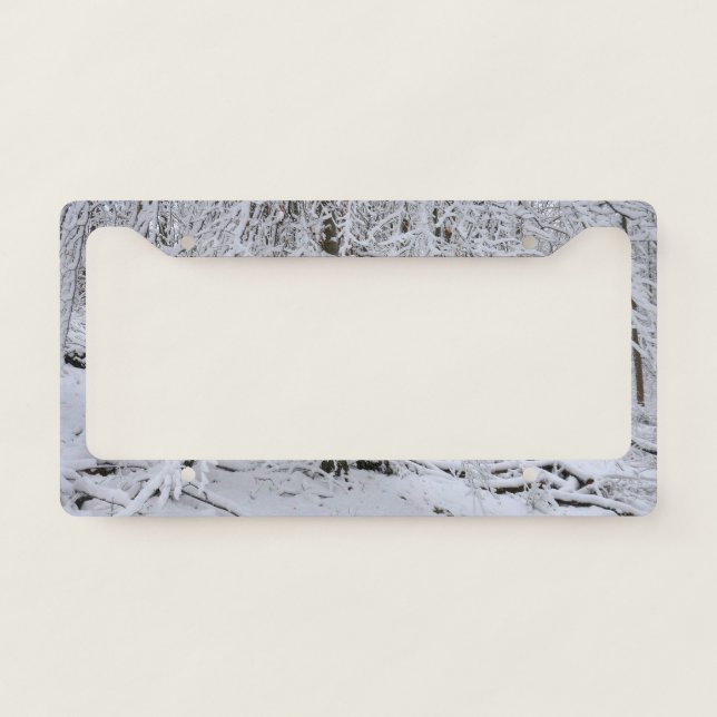 Snowy Birch Tree Canopy License Plate Frame (Front)