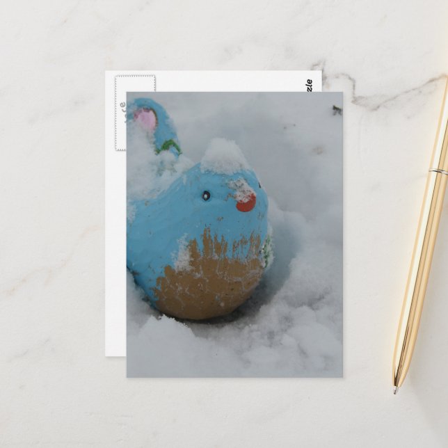 Snowy Blue Bird Postcard (Front/Back In Situ)