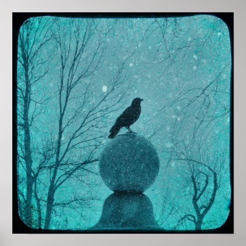 Snowy Blue Crow Poster