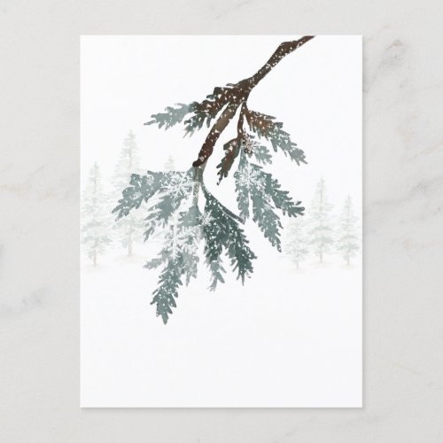 Snowy Blue Spruce Branch Winter Woodland Scene Postcard