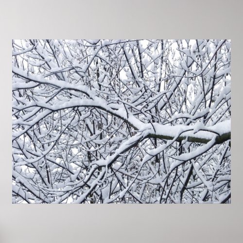 Snowy Branches Poster