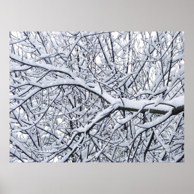Snowy Branches Poster (Front)
