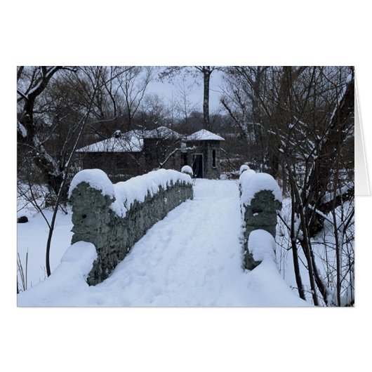 Snowy Bridge Cards (Front Horizontal)